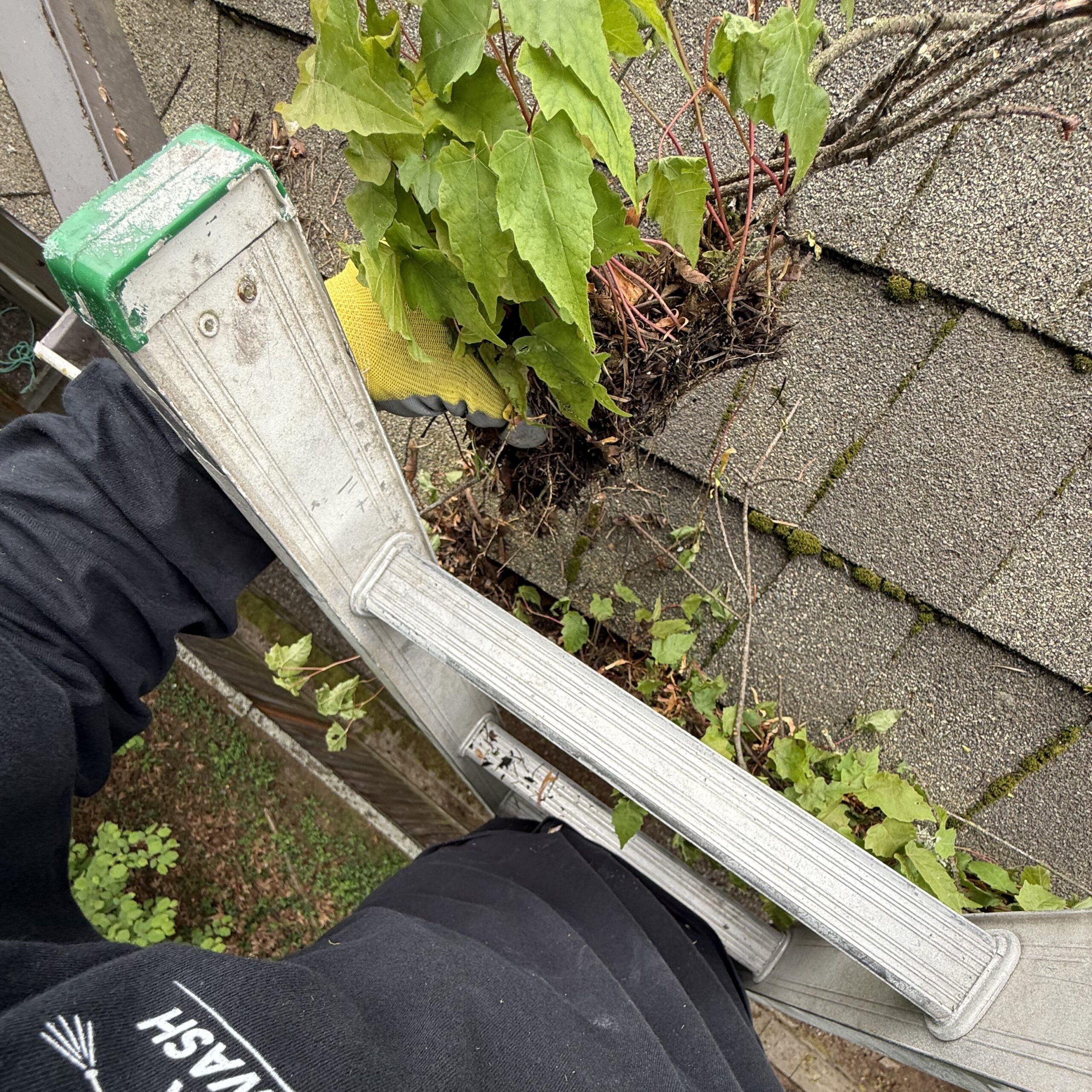 gutter cleaning pov